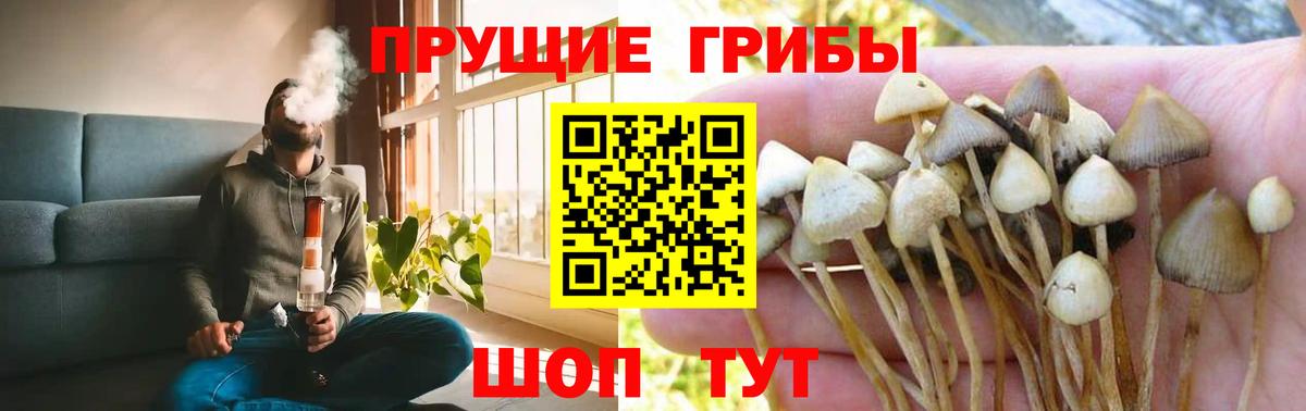 Галлюциногенные грибы ЛСД  наркота  Ачинск  Вход с VPN  Галлюциногенные грибы мухоморы 